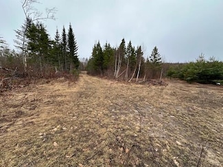 30Ac M/L Pendills Lake Rd, Bay Mills Township, MI 49715
