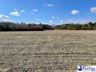 TBD Cash Rd, Johnsonville, SC 29555