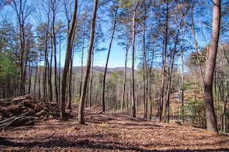 2A Big Creek, Blue Ridge, GA 30513