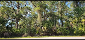 13462 Carrie Ave, Port Charlotte, FL 33953