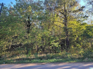 304 Pine St SW, Bessemer, AL 35022