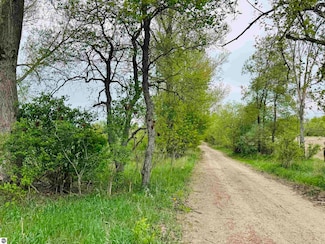 Parcel B1 W Packingham Rd, Manton, MI 49663