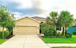 7511 Lantern Park Ave, Apollo Beach, FL 33572