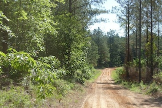 881-699 Mountain Dr, Remlap, AL 35133