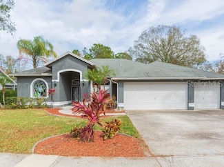 23635 Oakside Blvd, Lutz, FL 33559