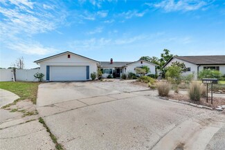 1019 Croydonwood Cir, Brandon, FL 33510