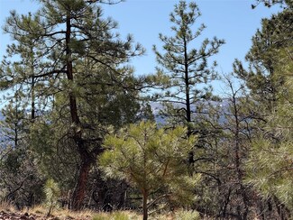 0 Big Oaks 3 Unit 202501483, Chama, NM 87520