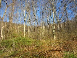 1422 Mae Rd W, Confluence, PA 15424