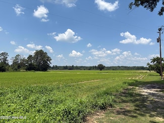 0 Near James B White Hwy N, Clarkton, NC 28433