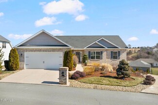 376 Sweetgrass Ln, Jonesborough, TN 37659