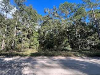 Tbd Rutland Rd, Crawfordville, FL 32327