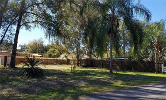 3542 E Brave Ln, Hernando, FL 34442