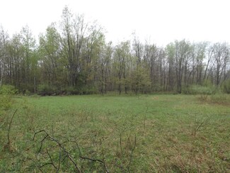 V/L W Stanton Rd, Pierson, MI 49339