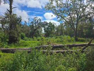 1209 Tampa Dr, Tallahassee, FL 32311