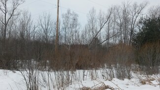 0 Weaver Rd Unit Parcel C (7.87 ac), Fairview, MI 48621