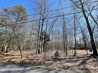 B16HF Tanglewood Dr, Kidder Township, PA 18210