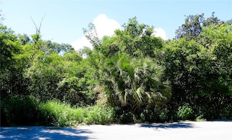 0 SE 130th Place, Ocklawaha, FL 32179