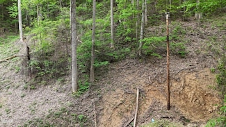 Lot 33 Black Walnut Flats Rd, Sevierville, TN 37862