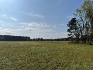 TBD Dovetail Rd Unit Lot 4, Timmonsville, SC 29161
