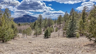 336 May Queen Dr, Cripple Creek, CO 80813