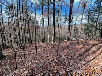J214 Walnut Mountain Rd, Ellijay, GA 30536