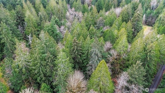 2902 136th St NW, Gig Harbor, WA 98332