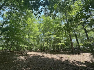 0 Silverbush St, Bedford, VA 24523