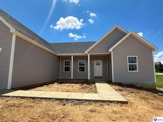 165 Gordon Dr, Ekron, KY 40117