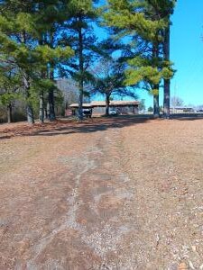 1251 County Road 3350, Clarksville, AR 72830