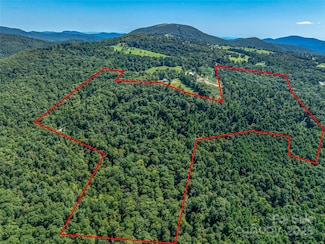 632 Justus Case Mountain Place, Hendersonville, NC 28792