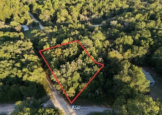 0 NE 2nd Place Unit MFRTB8432044, Williston, FL 32696