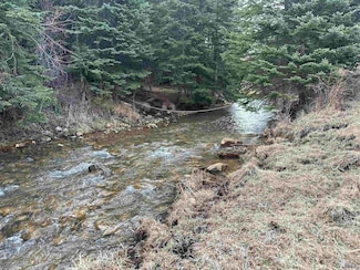 11755 Rochford Rd, Hill City, SD 57745