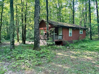 4983 Blackberry Ln, Elmira, MI 49730