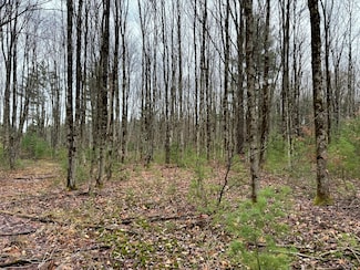 0 Preston Hill Rd, Camden, NY 13316