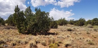 3908 71B Hidden Ranch Rd Unit 71, Snowflake, AZ 85937