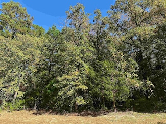 8714 Wilder Trail, Tyler, TX 75703