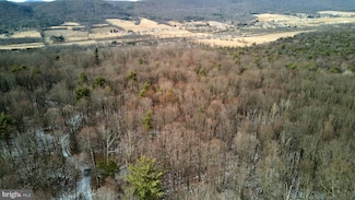 Lot on Hunter Ridge Rd, Zion, PA 16823