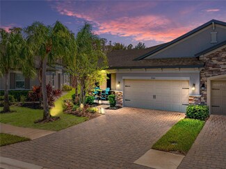 19343 Hawk Valley Dr, Tampa, FL 33647