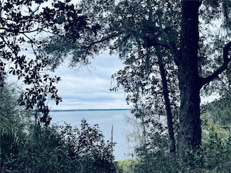 TBD NE 245th Street Rd, Fort Mc Coy, FL 32134