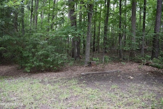 Lot 6 River, Blounts Creek, NC 27814