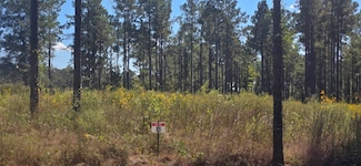 013 Army Recreation Rd, Florien, LA 71429