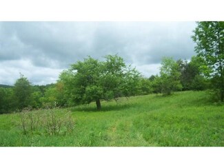 052 Sawyer Mountain Rd, Strafford, VT 05072