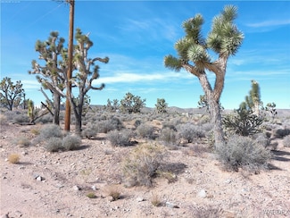 26241 Hummingbird Ln, Meadview, AZ 86444