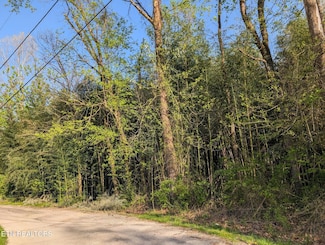 0 Lenoir Ave, Rockwood, TN 37854
