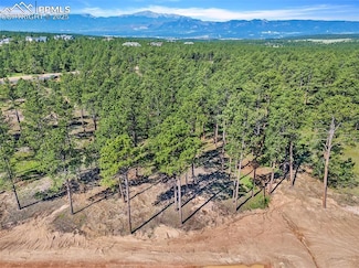 14532 Quartz Creek Dr, Black Forest, CO 80908