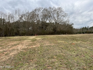 0 Armory Dr Unit 23892710, Taylorsville, MS 39168