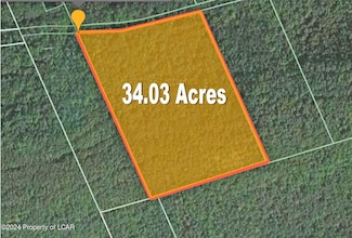 34.03 Acre Tomko Ave, Hanover Township, PA 18706