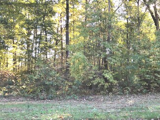 2971 Whisper Ln Unit Lot 3, Hamilton, MI 49419