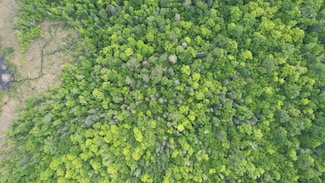 Tract 3 Ticonderoga Trail, Hackensack, MN 56452