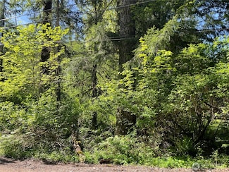 193 Paradise Dr, Eatonville, WA 98328